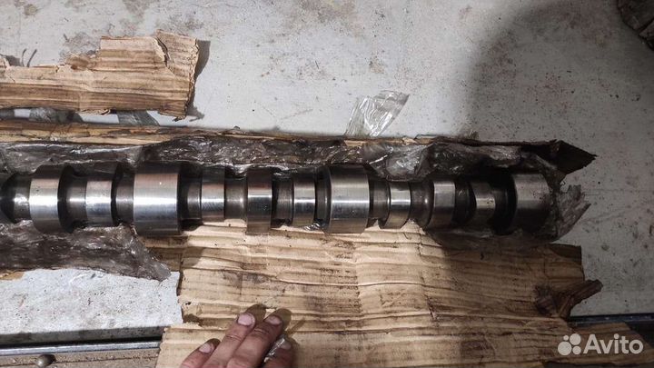 Распредвал cummins ISX 15 4059331