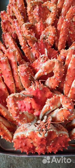 Краб камчатский королевский