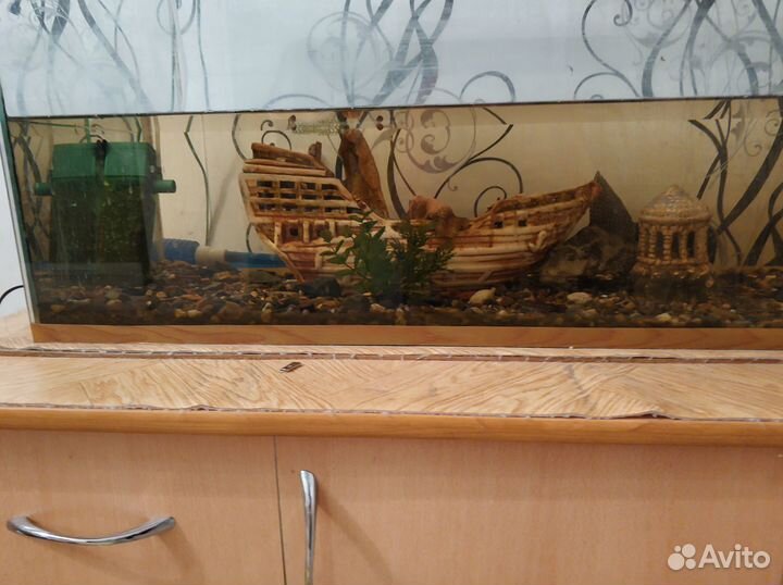 Аквариум