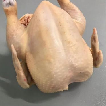 Домашние куры бройлеры