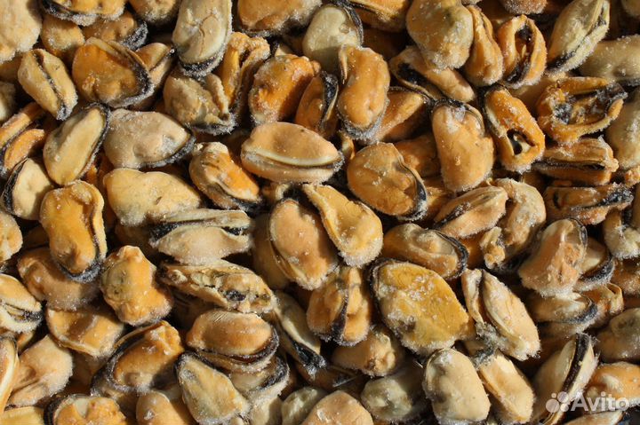 Мясо голубых Мидий свежемороженое пр-во чили