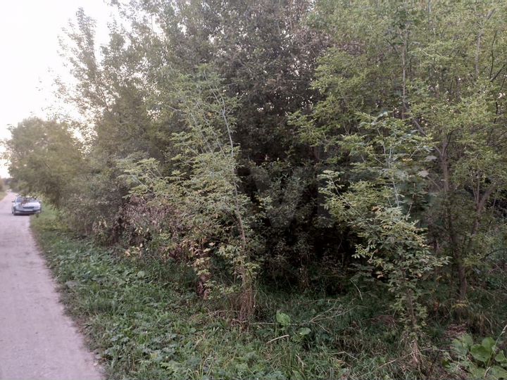 Участок 49 сот. (ИЖС)