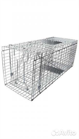 Кошколовка в аренду