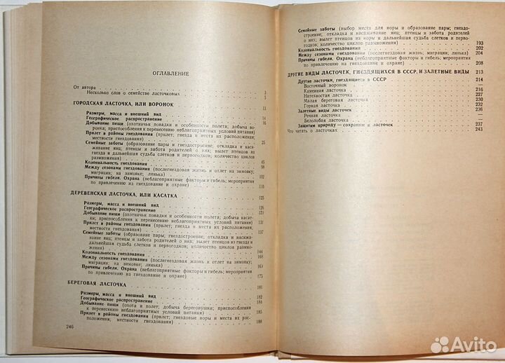 Колоярцев М.В. – Ласточки