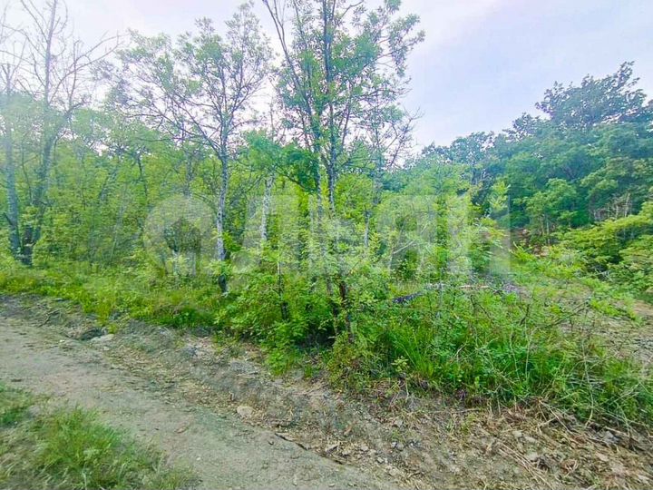 Участок 8 сот. (ИЖС)