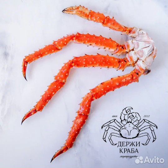 Краб камчатский