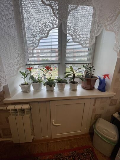 1-к. квартира, 29,4 м², 2/5 эт.