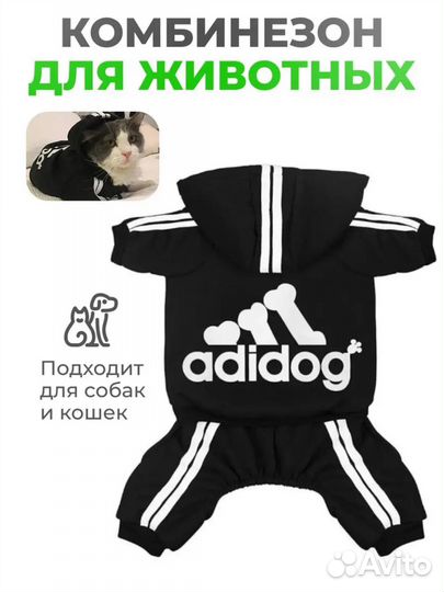 Одежда для собак