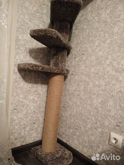 Кошачий игровой комплекс