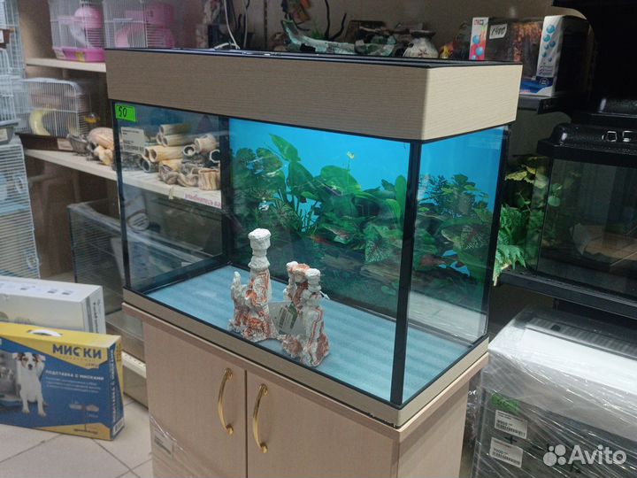 Новые аквариумы от 5 до 120 литров