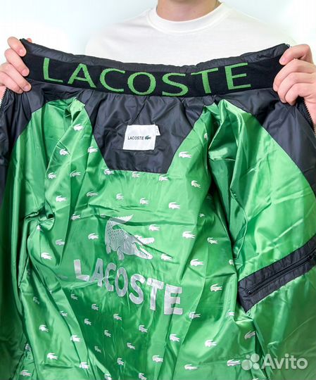 Куртка мужская утепленная Lacoste (21036329) (M, Ч