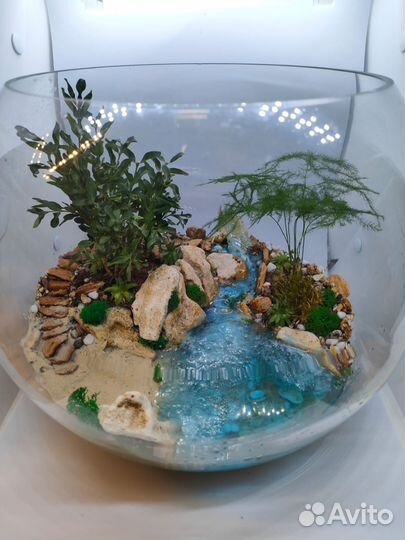 Мастер класс по созданию флорариума