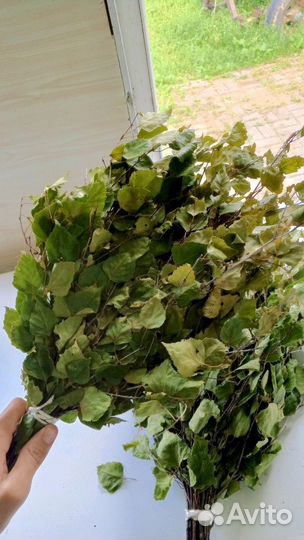 Банные березовые веники