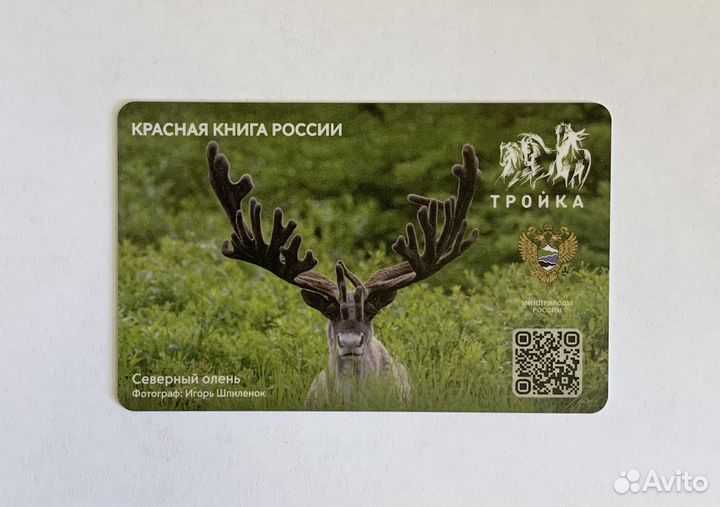 Карта Тройка - Северный олень. Красная книга