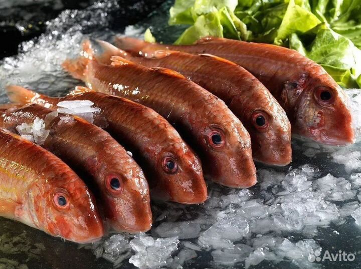 В продаже готовый бизнес – магазин рыбы