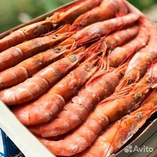 Аргентинская креветка L1 (Лангустины) с головой