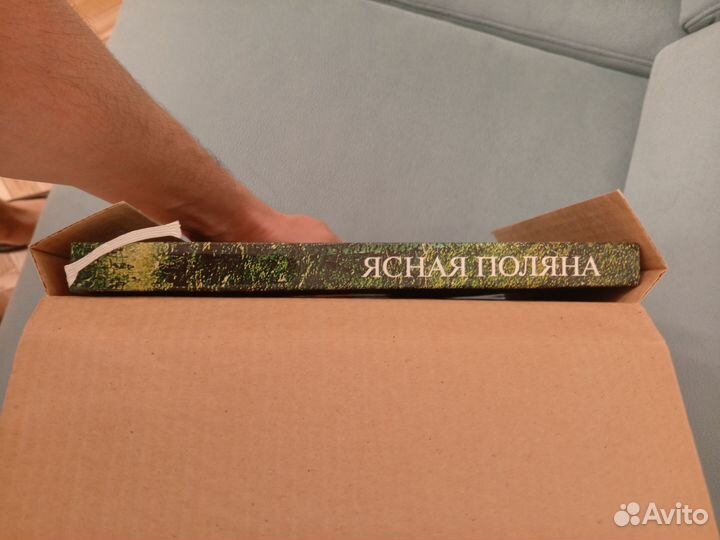 Ясная поляна книга