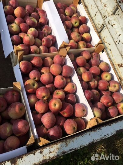 Продам свое