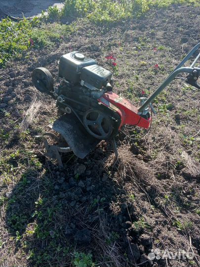 Мотоблок Тарпан