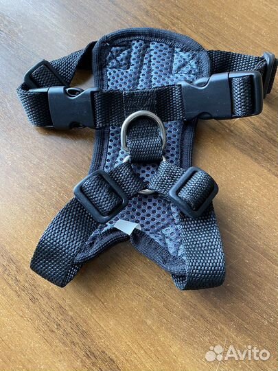 Шлейка для кошки