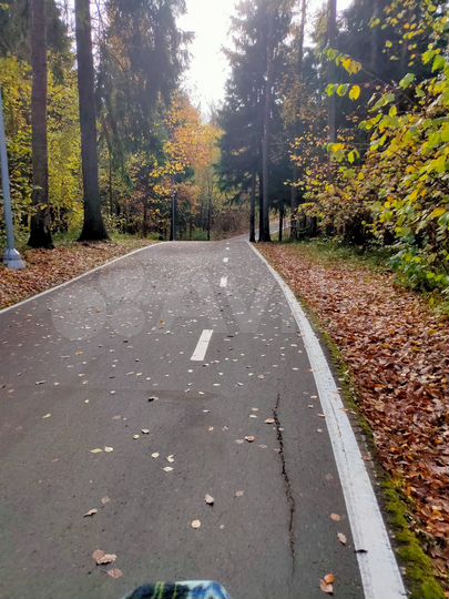 2-к. квартира, 50 м², 19/25 эт.