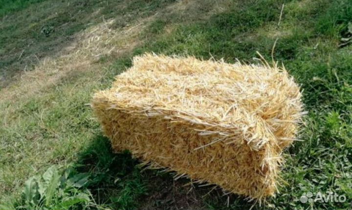 Тюки из саломы