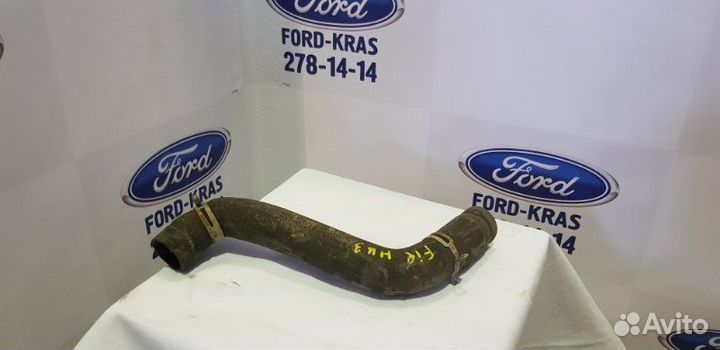 Патрубок радиатора нижний Ford Fiesta 2007