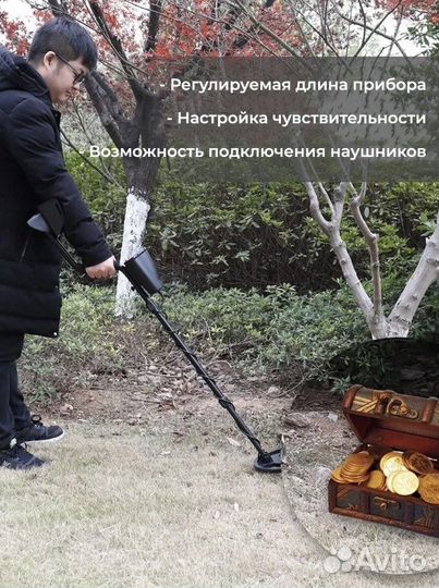 Металлоискатель в аренду