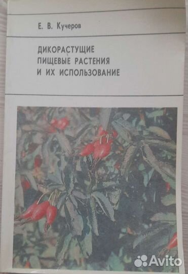 Дикорастущие пищевые растения и их использование