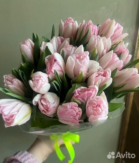Тюльпаны Голландия 8 марта