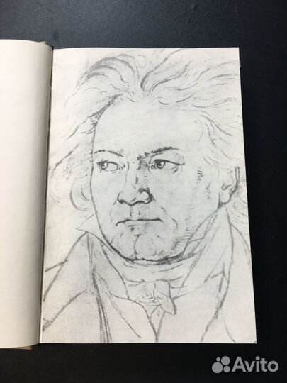 Людвиг ван Бетховен (очерк жизни и творчества)