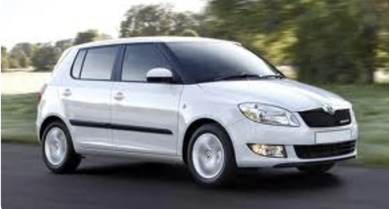 Skoda Fabia: фото владельца