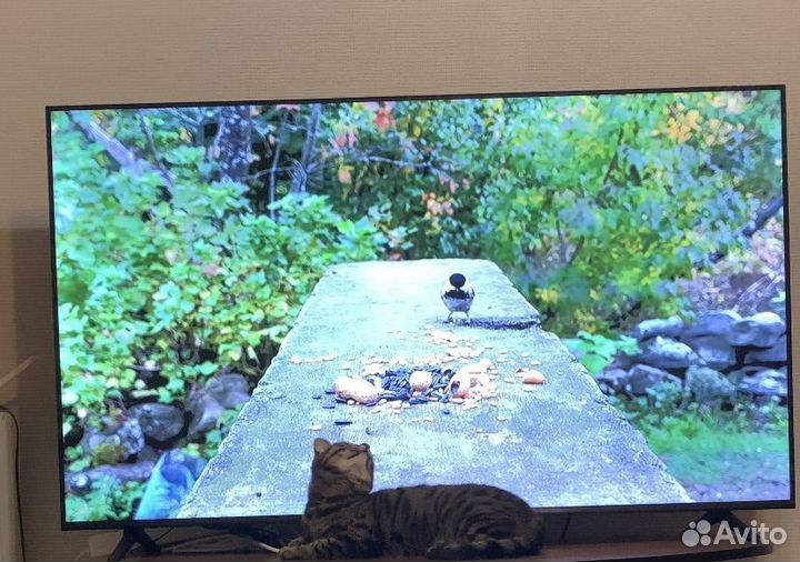 Телевизоры со SMART tv 55 дюймов