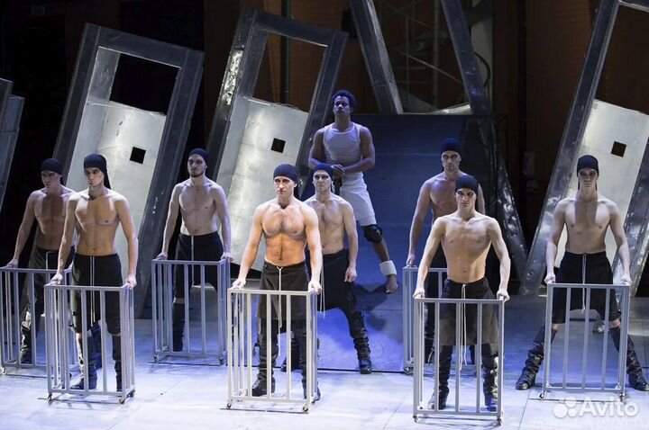 Билеты в театр Романа Виктюка 1/2