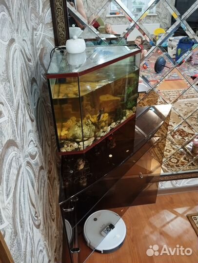 Аквариум с тумбой и рыбками