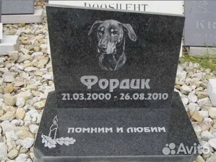 Памятник животному (собаке, кошке) на могилу