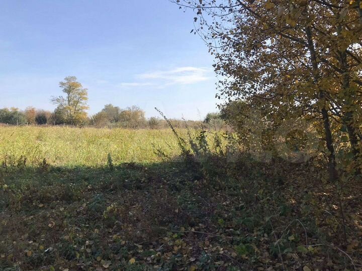 Участок 40 сот. (СНТ, ДНП)