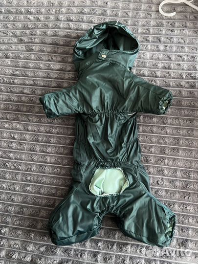 Костюм для маленькой собачки