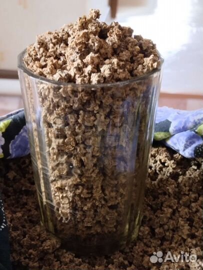 Семена кормовой свеклы