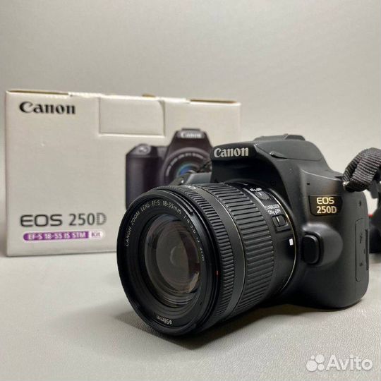 Canon EOS 250D 18-55 IS STM kit Черный