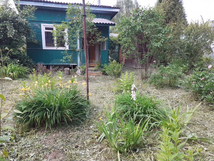 Дом 54 м² на участке 6 сот.