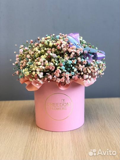 Гипсофила цветная в коробке