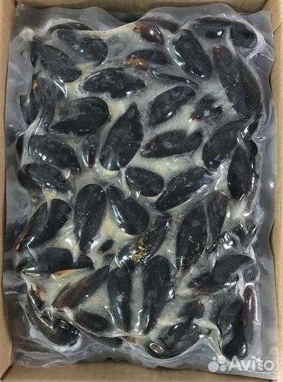 Мидии Голубые в раковине