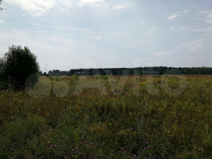 Участок 28 га (ИЖС)