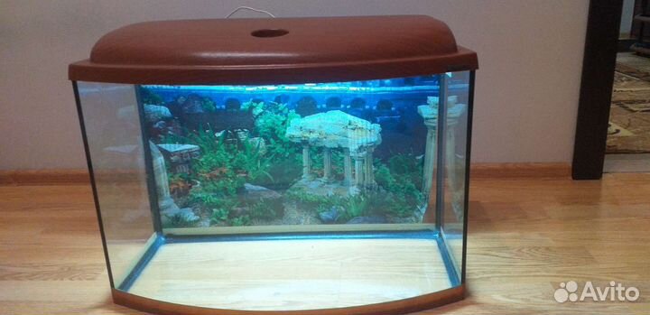 Аквариум