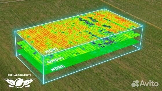 Анализ и обработка полей агродронами