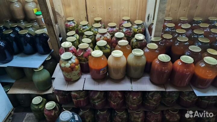 Соленья домашние