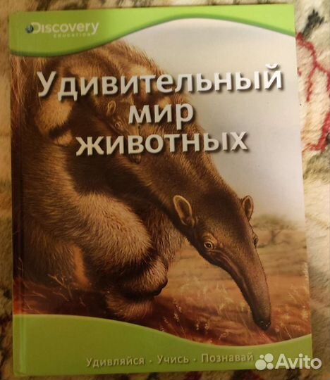 Детская книжка 