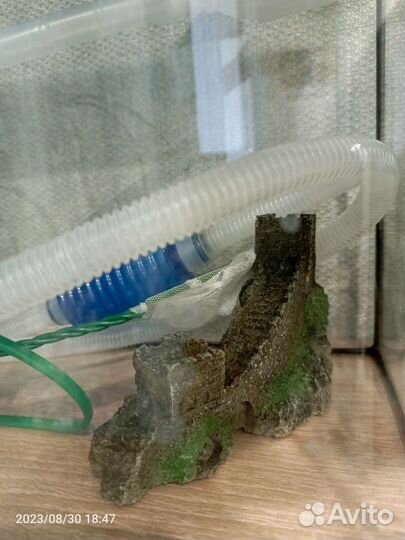 Аквариум 20л