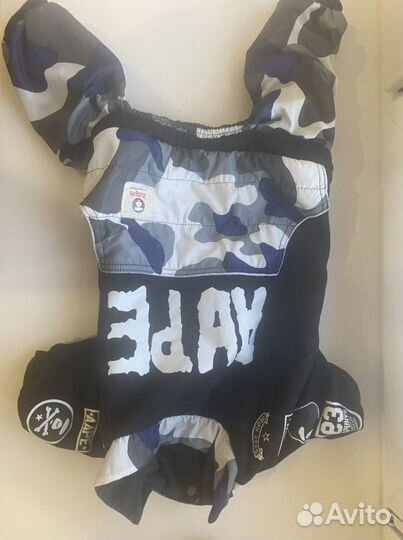 Одежда для собак